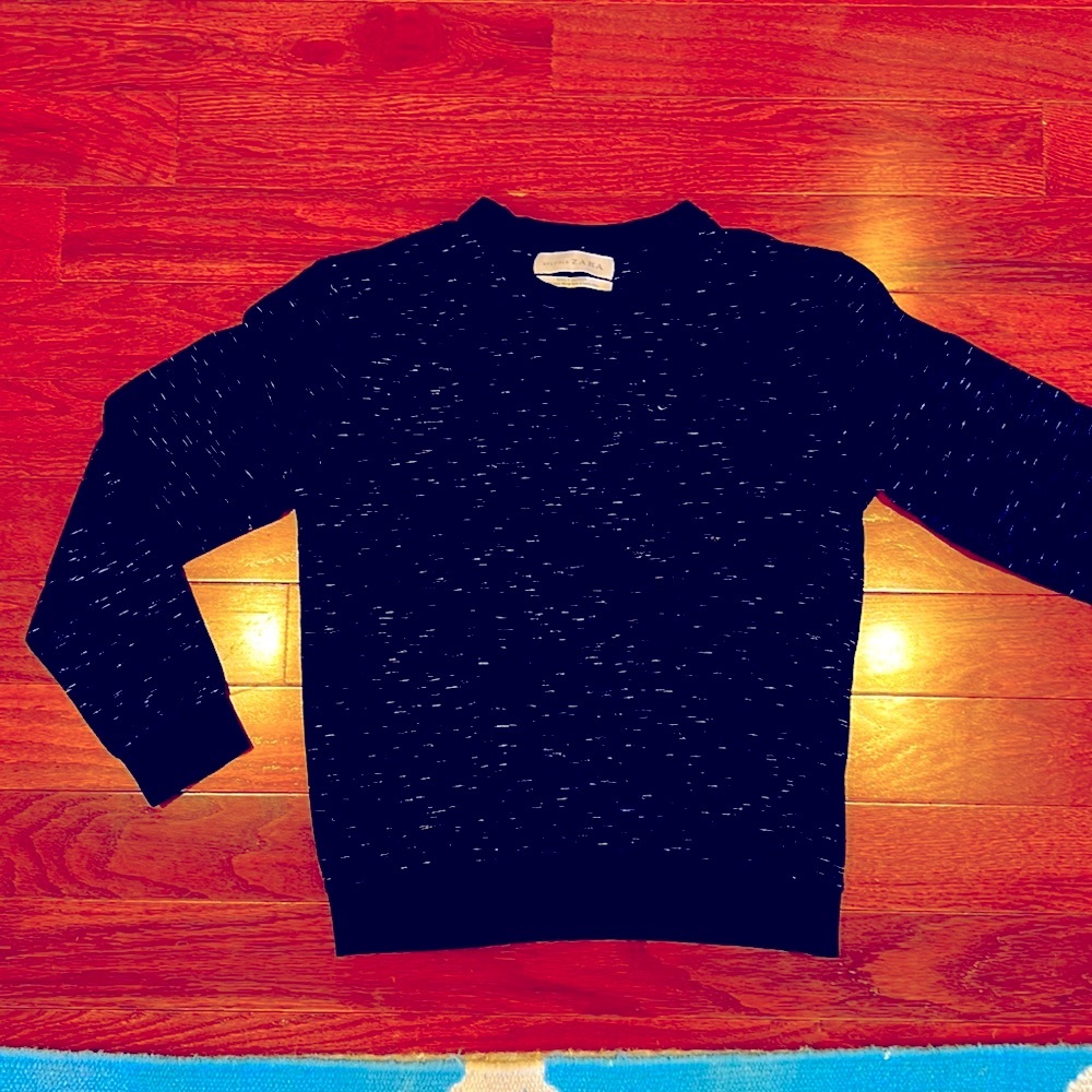 Zara sweatshirt